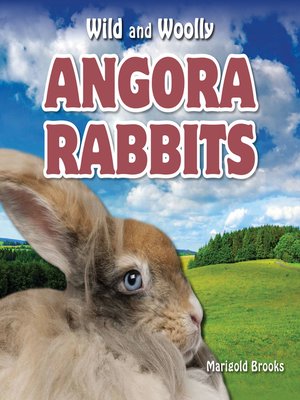 cover image of Angora Rabbits